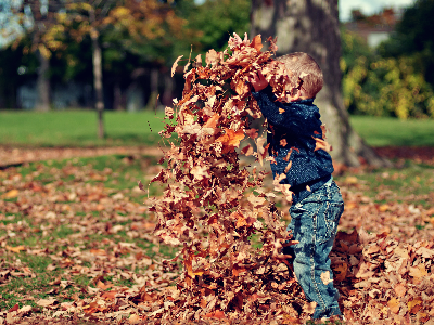 Autumn Leaf Adventure - Lindberg Park Nature Walk - 10/11/2026